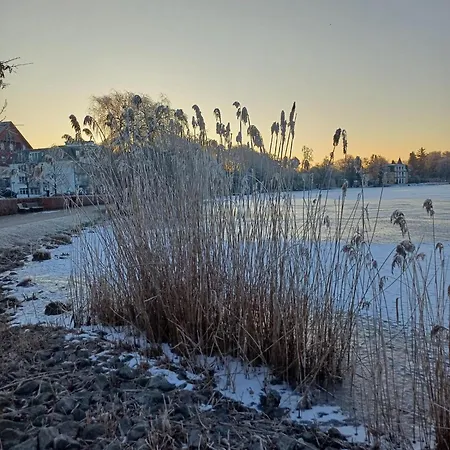 Frieda 6 아파트 제바트헤링스도르프