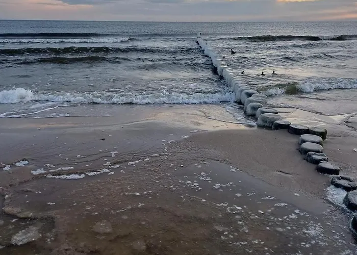 Frieda 6 Heringsdorf