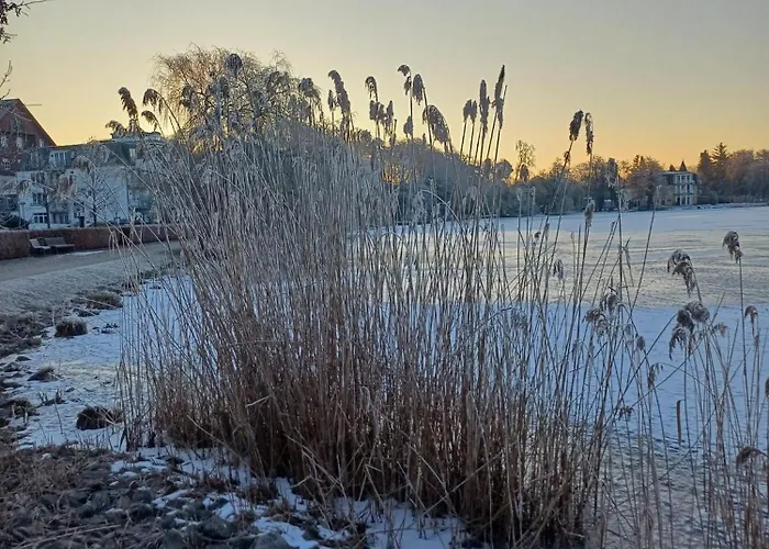 Frieda 6 Daire Heringsdorf